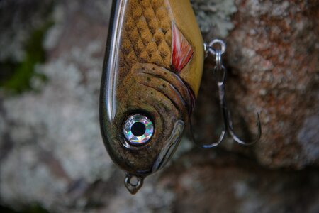 Pike jerkbait wobbler photo