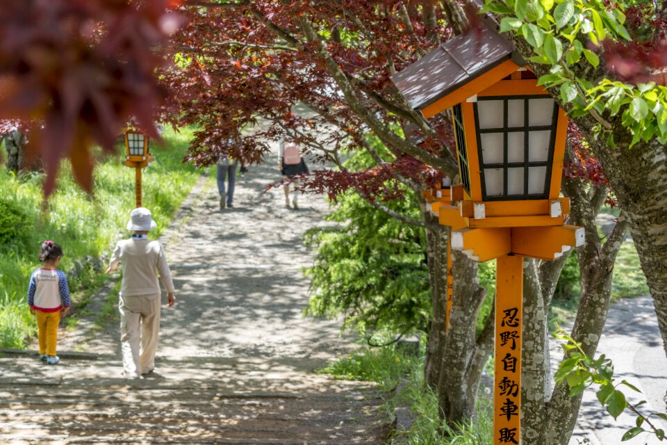 Asian culture japan
