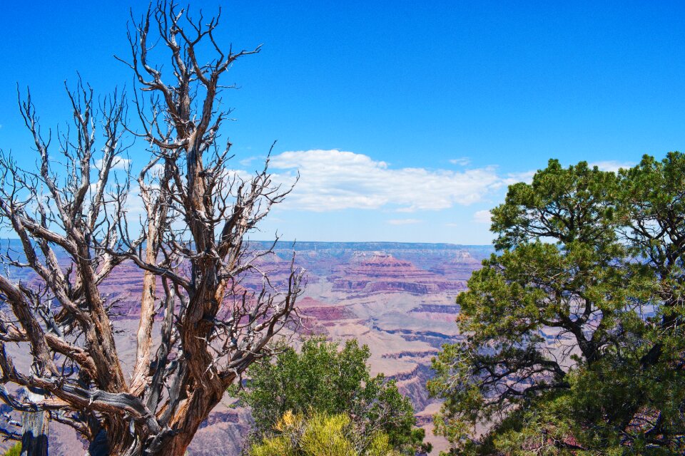 Nature america usa