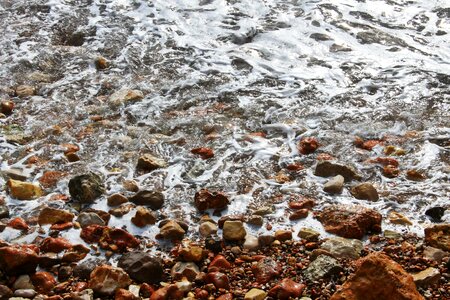 Sea beach nature