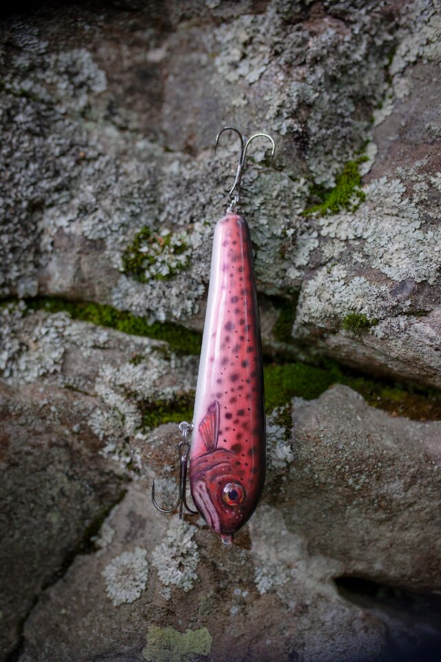 Jerkbait wobbler mackerel