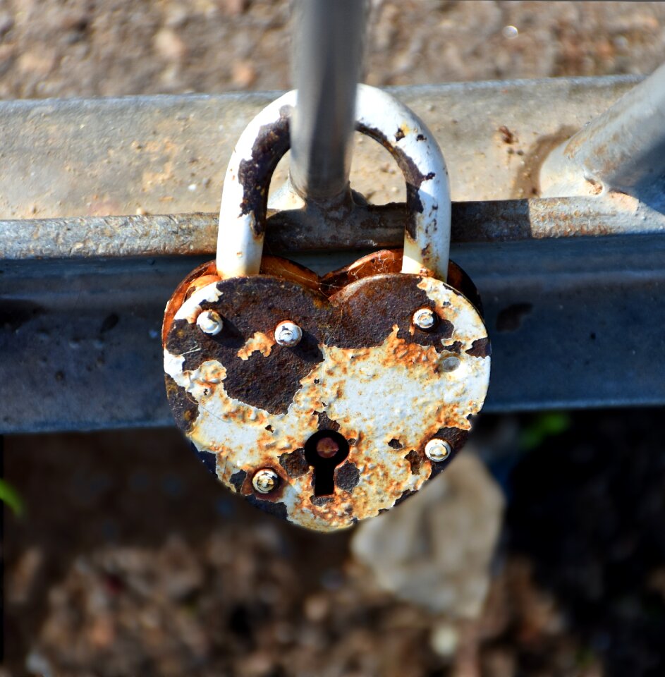 Love loyalty connectedness