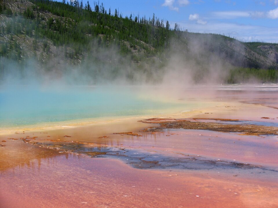 Spring yellowstone