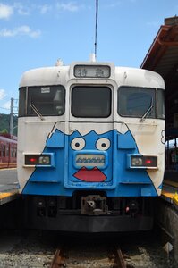 Fuji train mount fuji kawaguchiko
