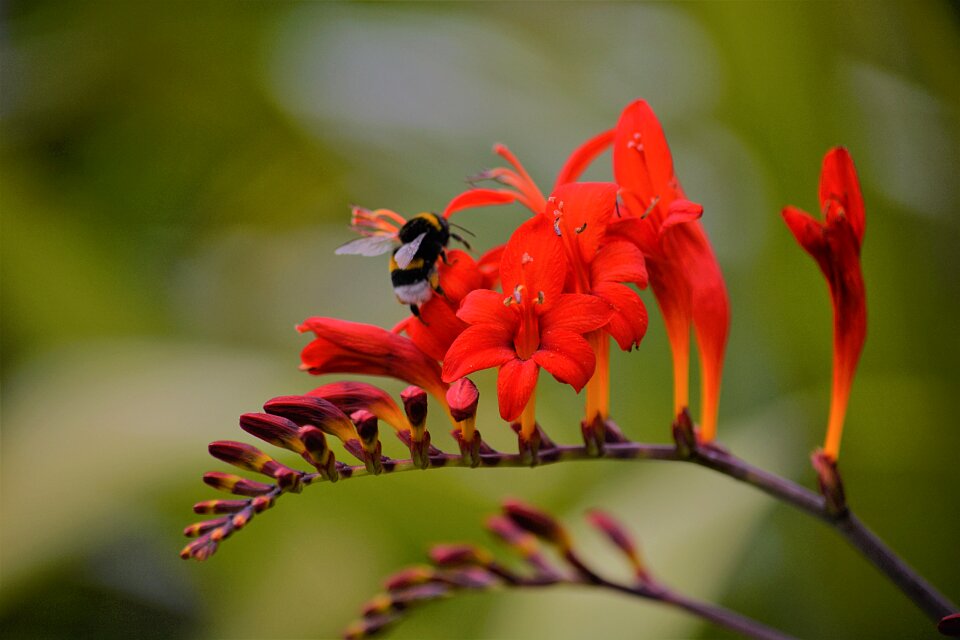 Nature summer colors