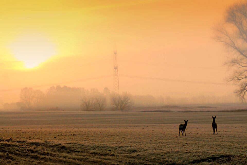 Morgenrot morning hour morgenstimmung