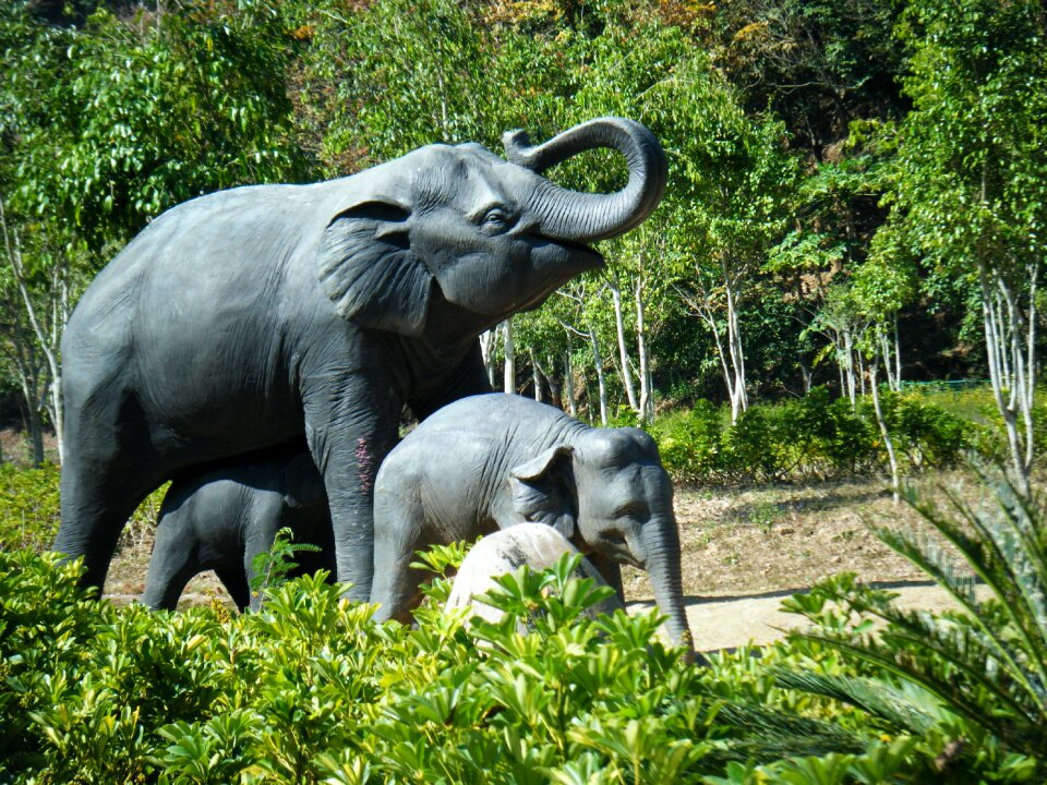 Xishuangbanna elephants sculpture