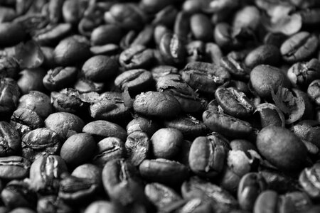 Roasted gray coffee