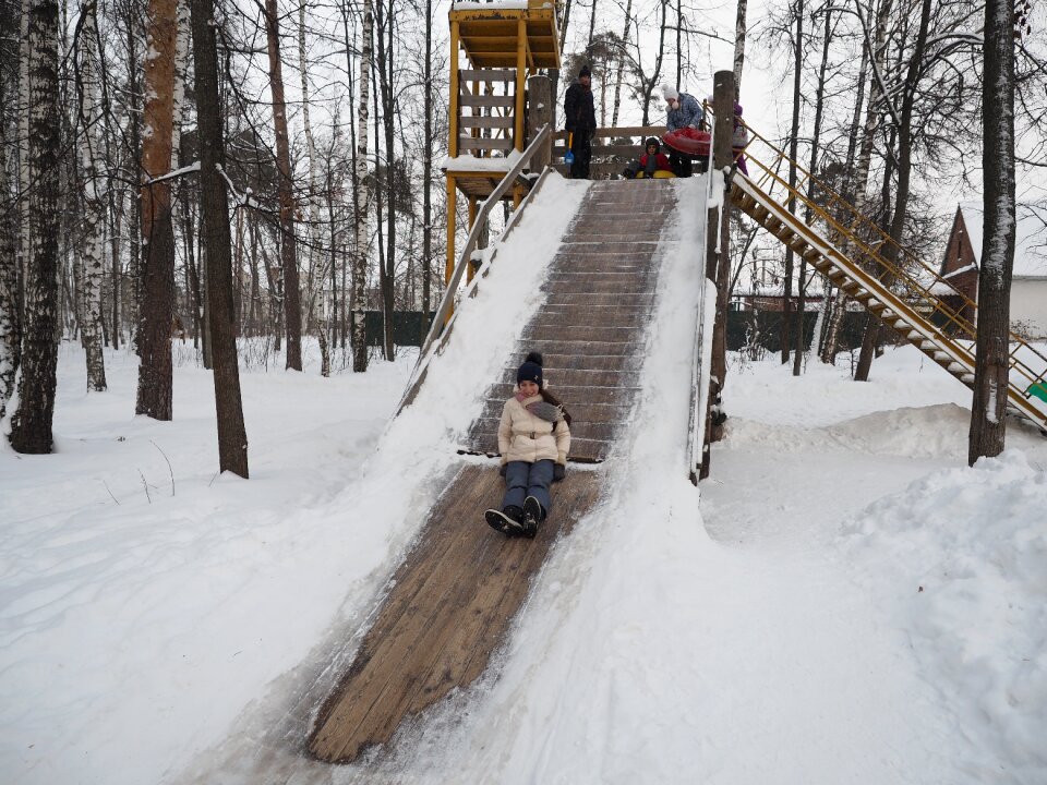 Sled forest park