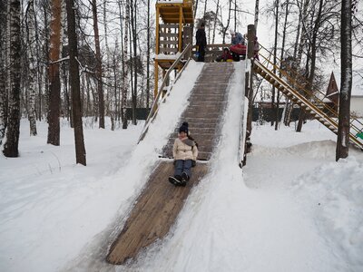 Sled forest park