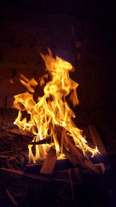 Wood log burning photo
