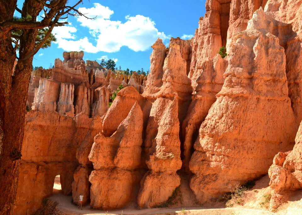 National park america south west