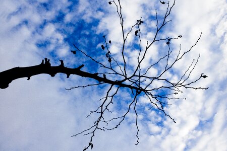 Nature cloud blue
