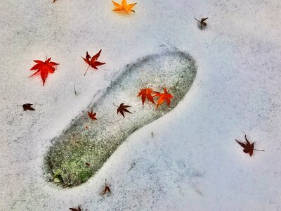 Footprints beautiful leaf