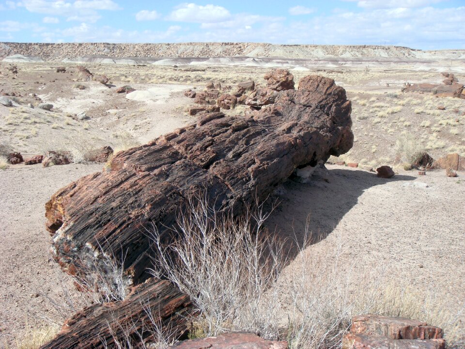National park america nature
