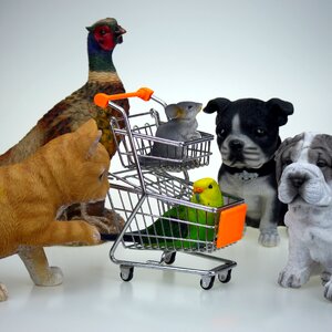 Animals business shopping baskets
