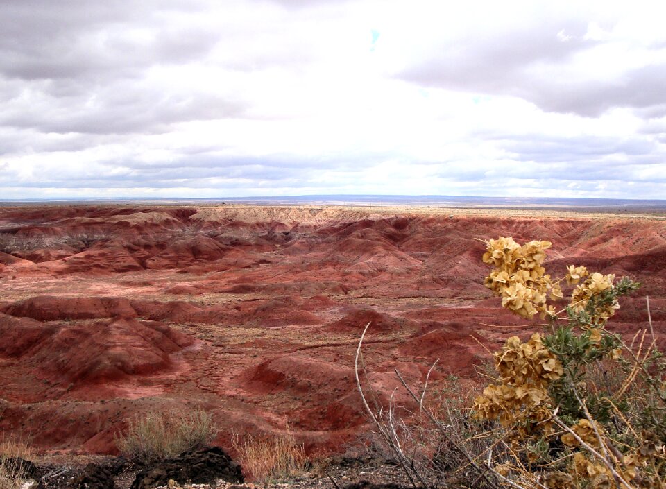 National park america nature