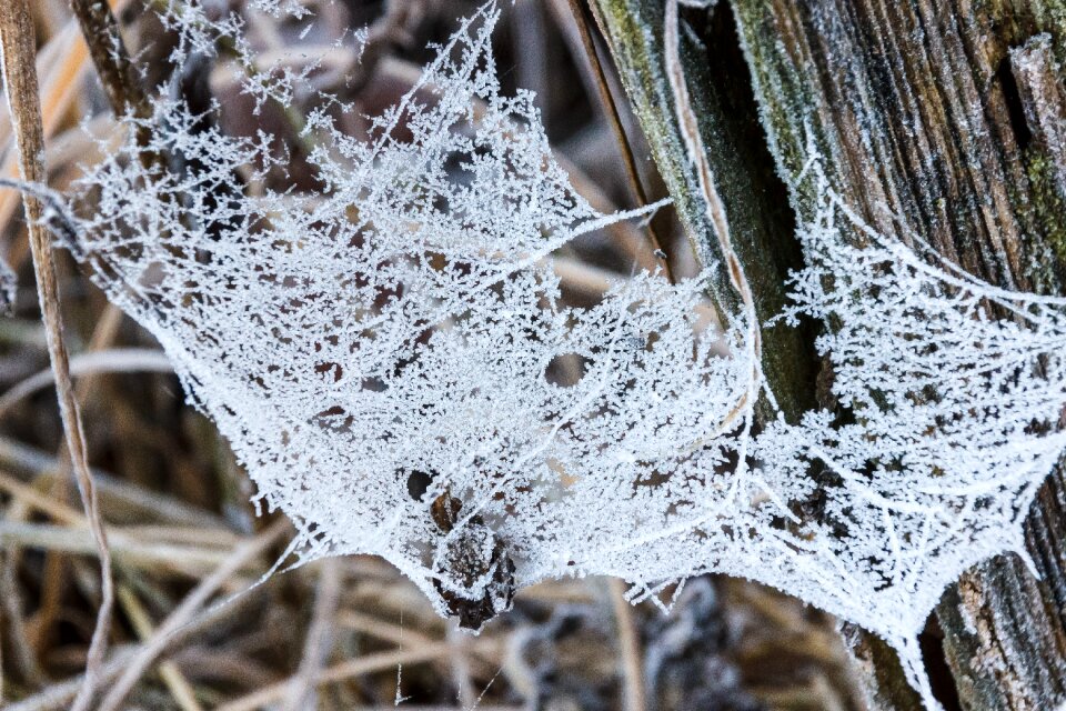 Winter frozen ice