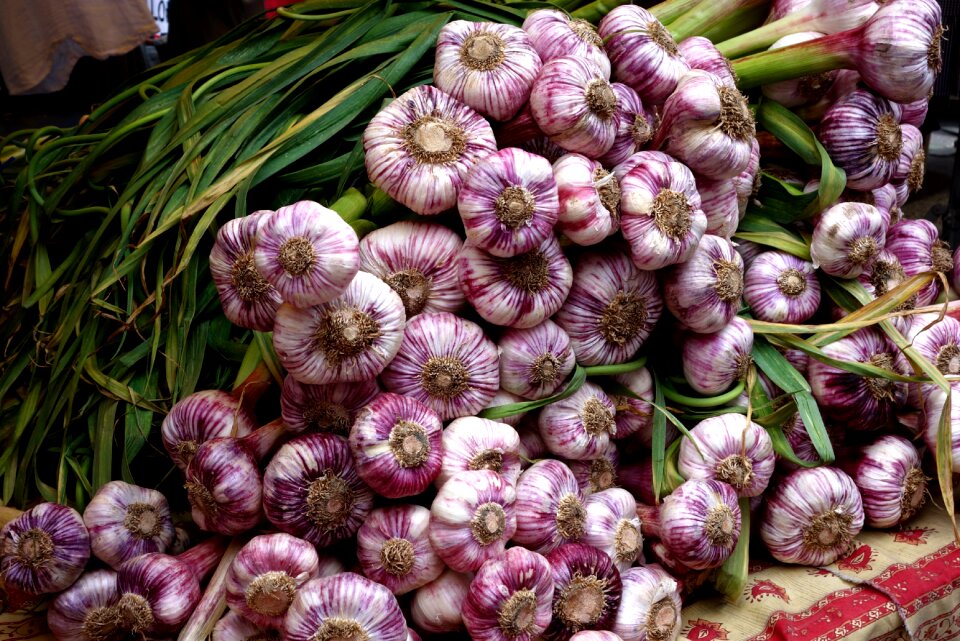 Condiment head of garlic cloves of garlic