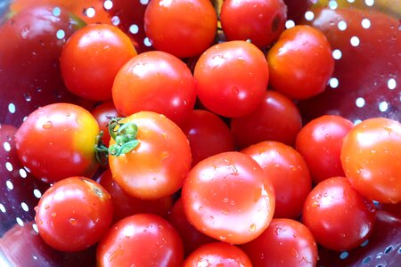 Food fresh vegetable