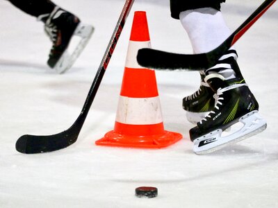 Bat skates sport