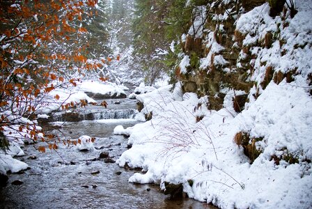 Winter wisla snow
