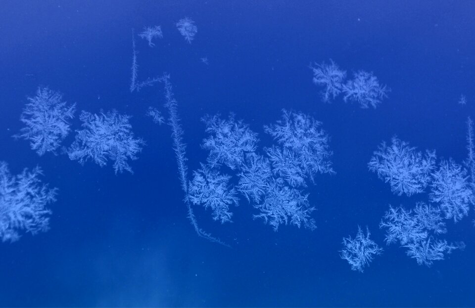 Winter frost patterns rainy-d flower