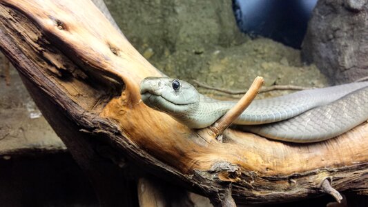 Zoo holiday travel