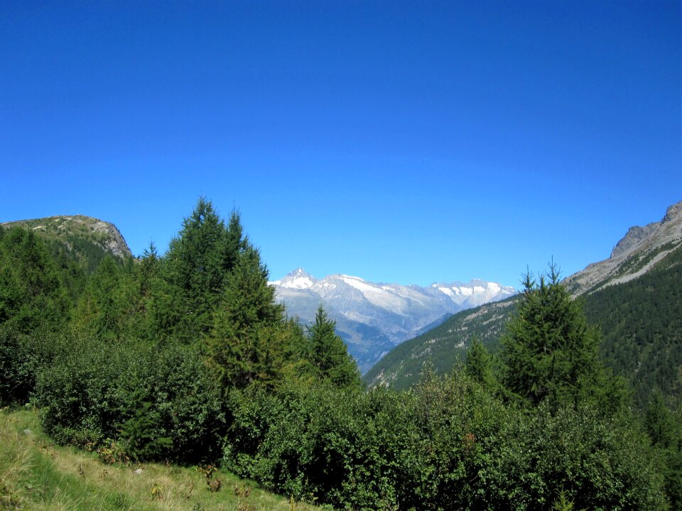Nature landscape swiss alps