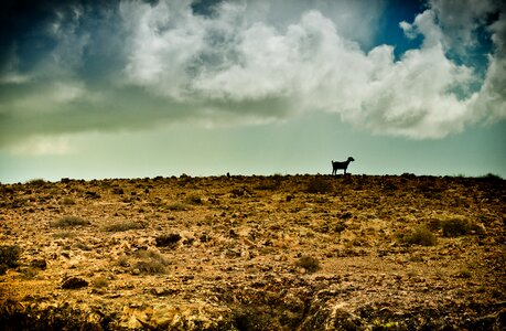 Rocks desert landscape