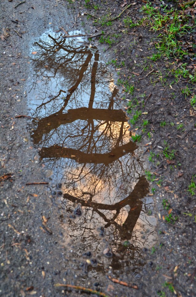 Puddle mirroring viewing
