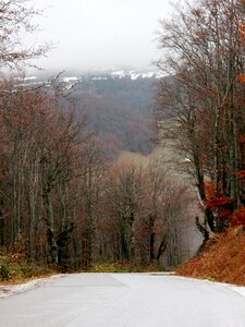 Landscape foggy outdoor photo