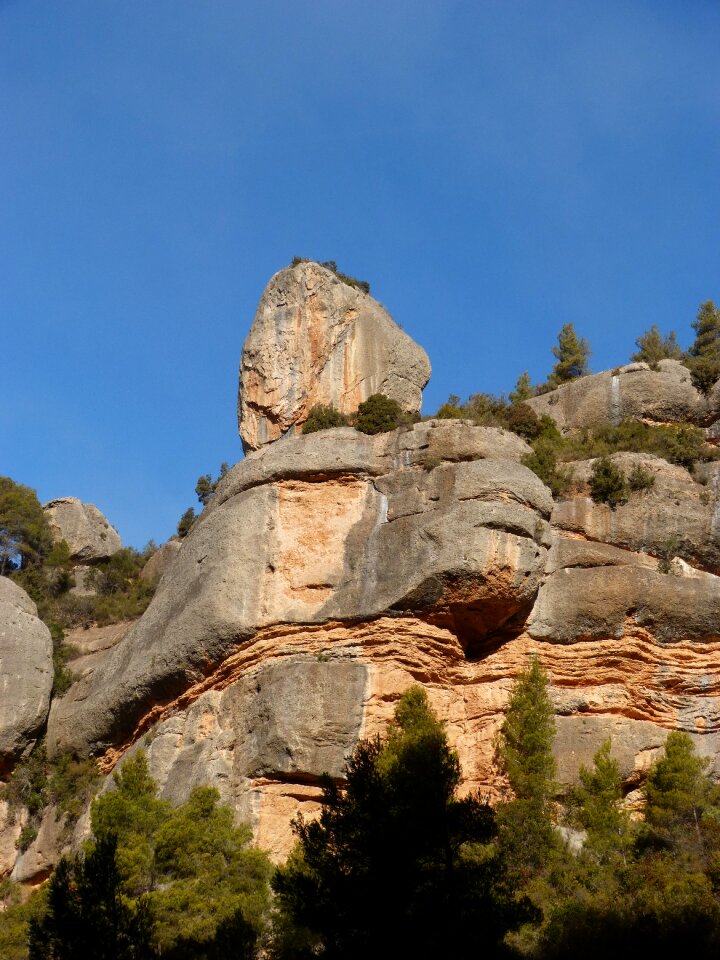 Limestone organic forms priorat