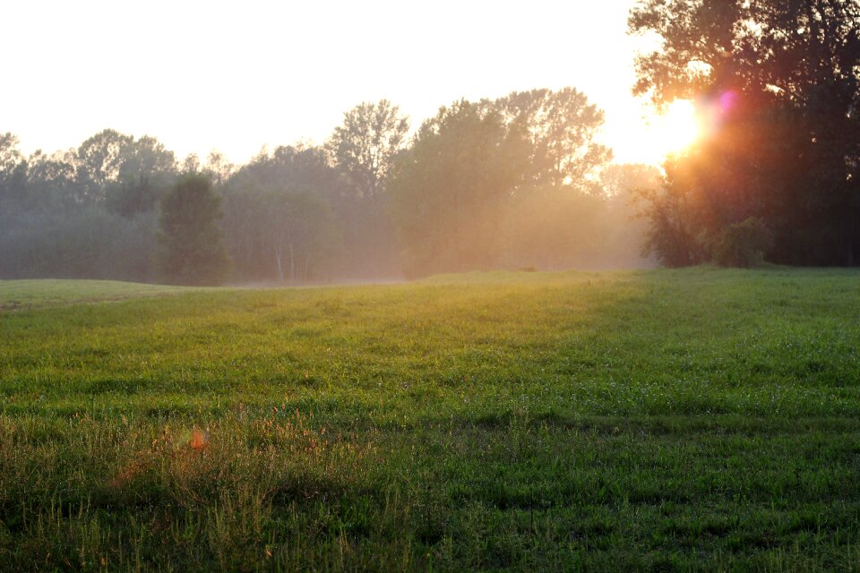 Evening landscape meadow