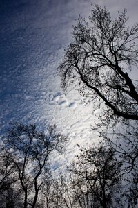 Sky silhouette reverse light