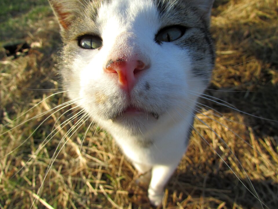 Outdoor eyes close