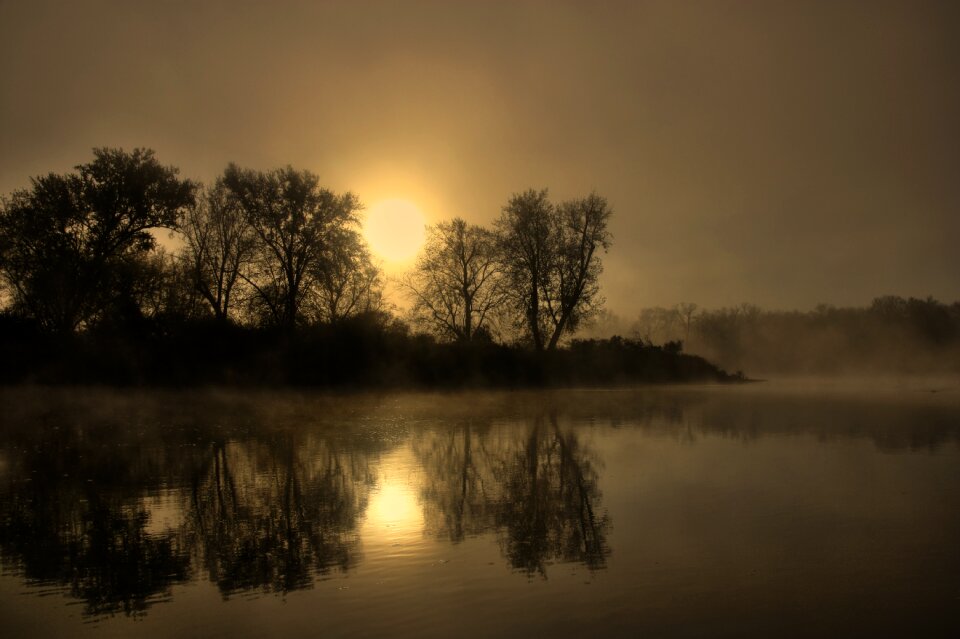 Landscape water forest