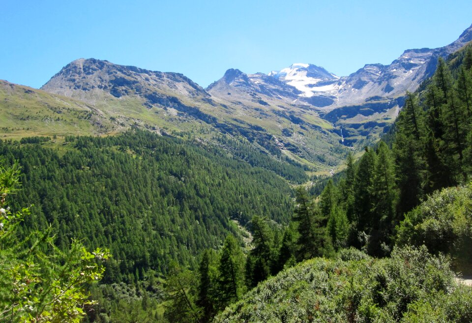 Nature landscape swiss alps