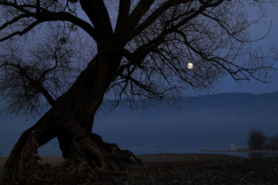 Evening mood full moon
