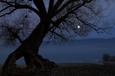 Evening mood full moon photo