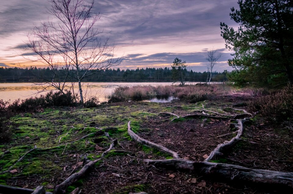 Beautiful ramer felt landscape dusk