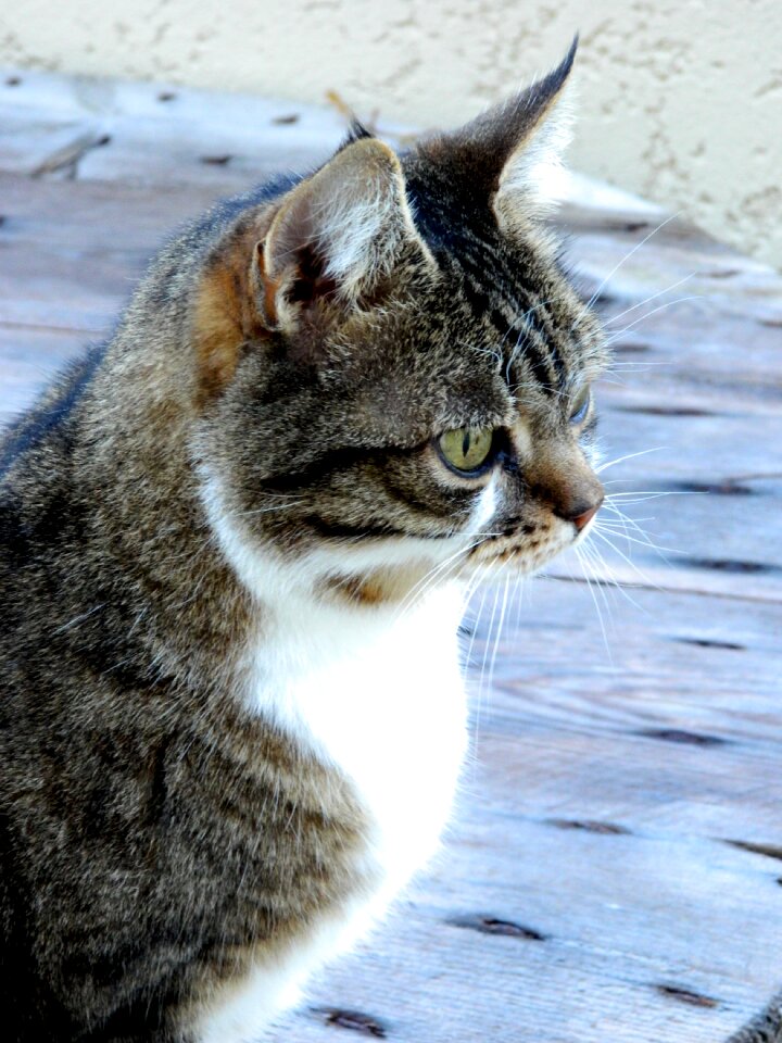 Portrait female beautiful