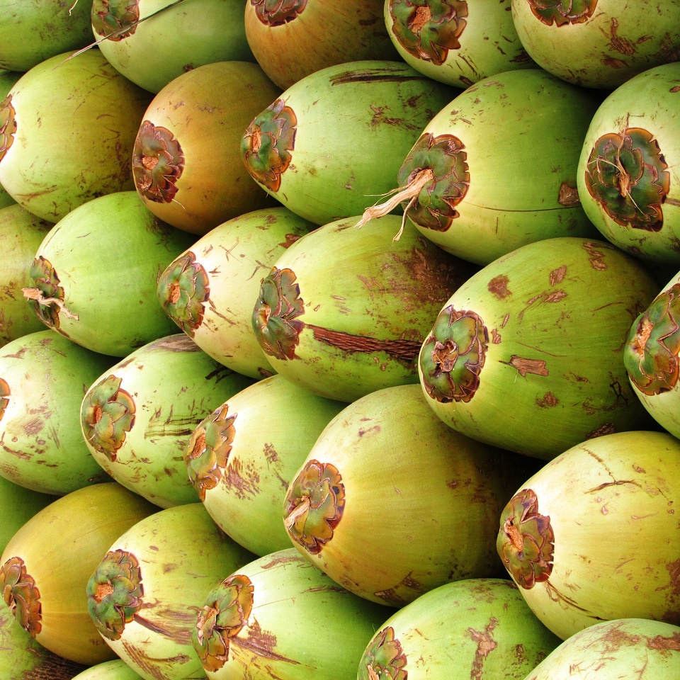 Green seed drupe