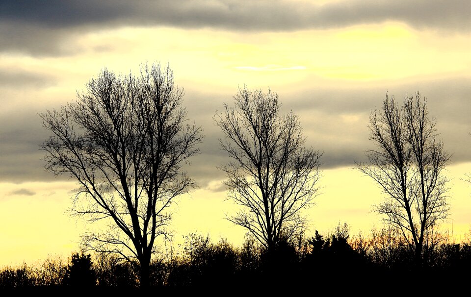 Autumn kahl clouds