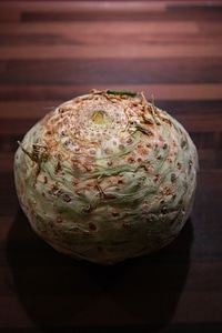 Turnip tuber apium graveolens var rapaceum