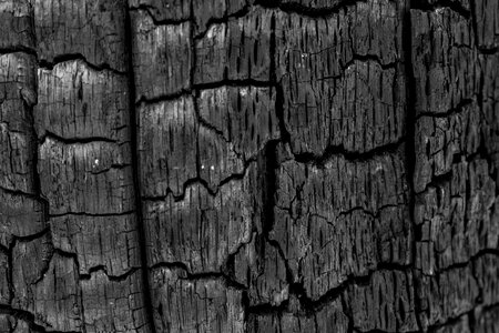 Pore black crack
