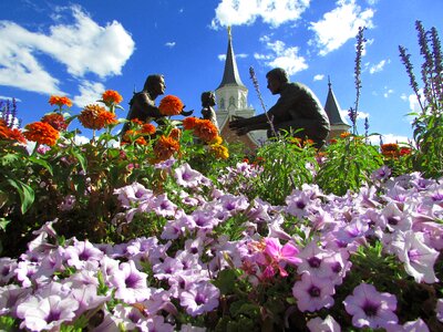 Temple mormon provo photo