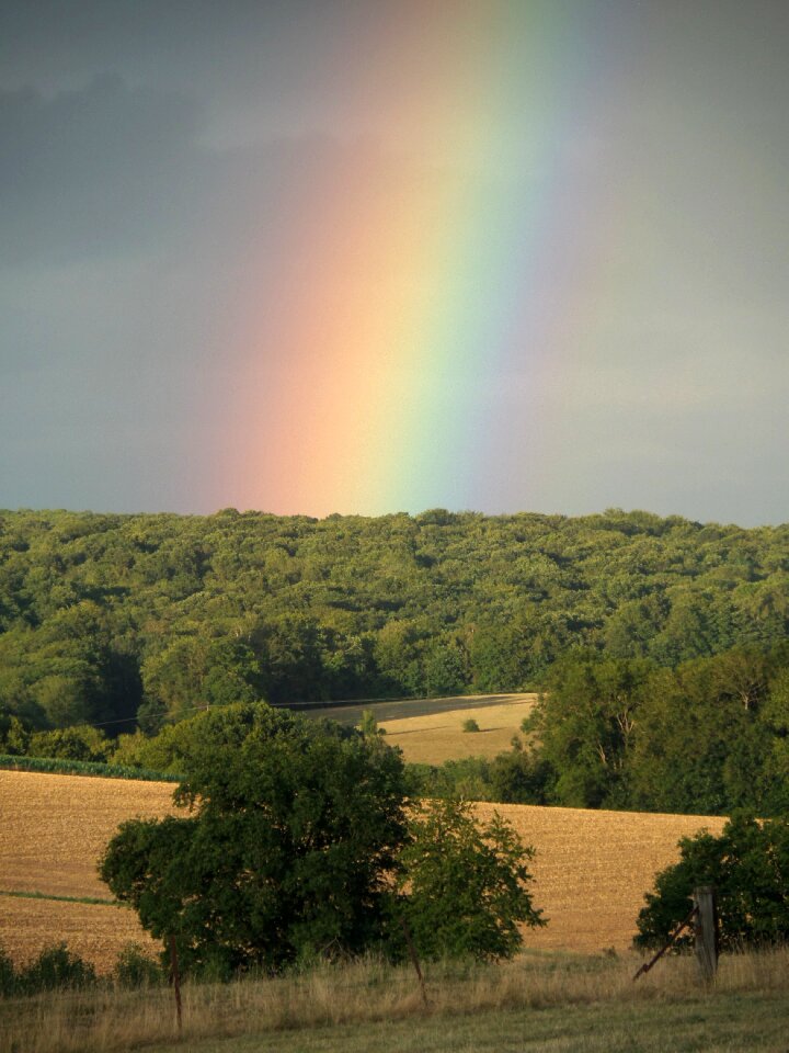 Rainbow colors colorful