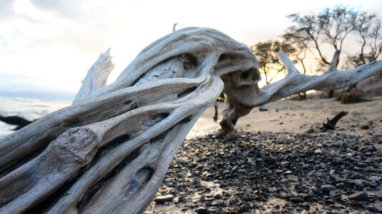 Sand nature paradise