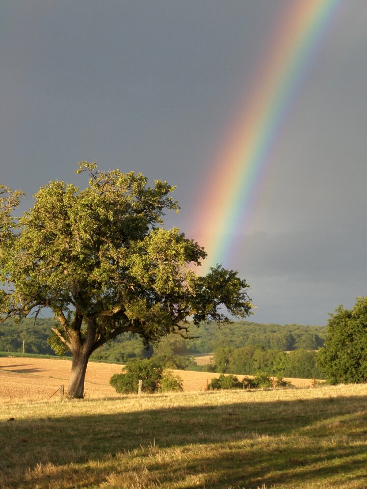 Rainbow colors colorful